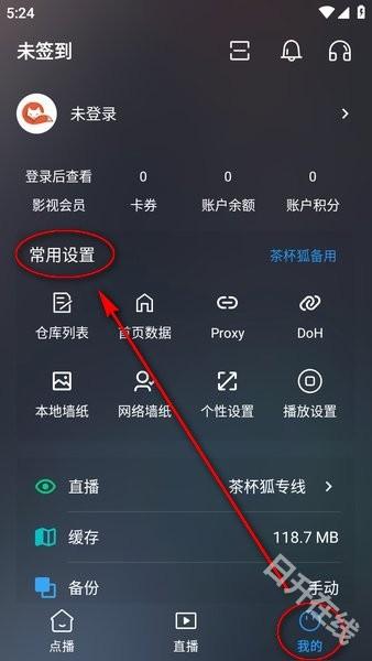 茶杯狐cupfox