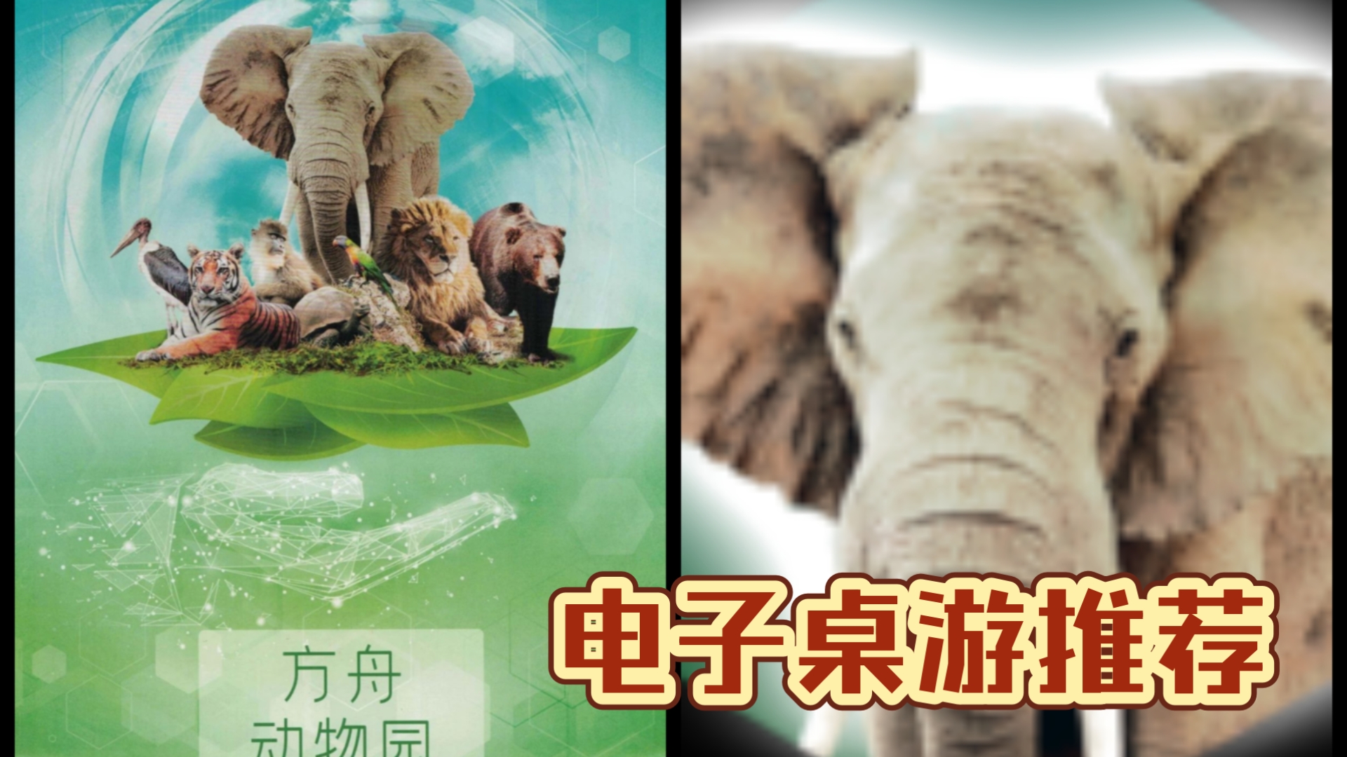 方舟动物园