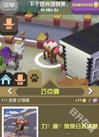 疯狂动物园