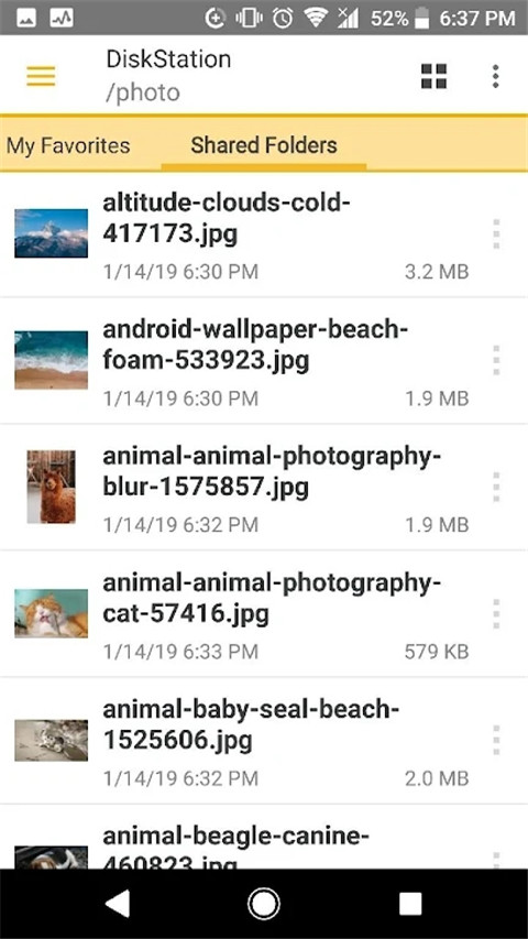 ds file