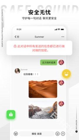 丝瓜