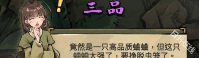 蛐蛐也疯狂