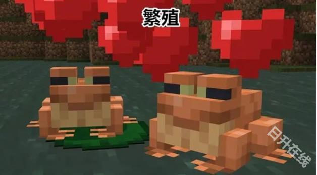 我的世界1.20国际版
