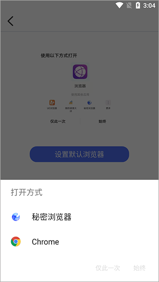 秘密浏览器