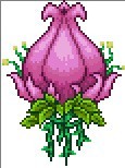 terraria官方正版