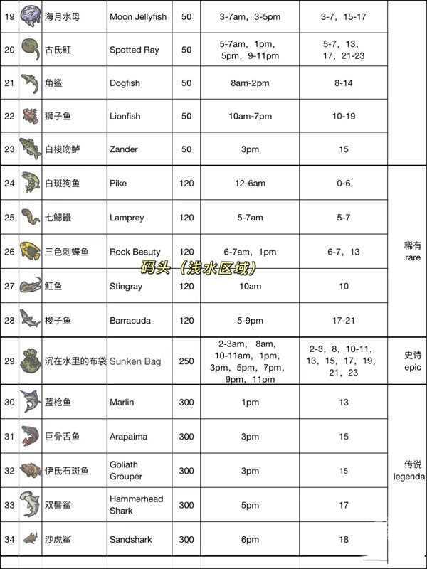 月兔漫游国际服