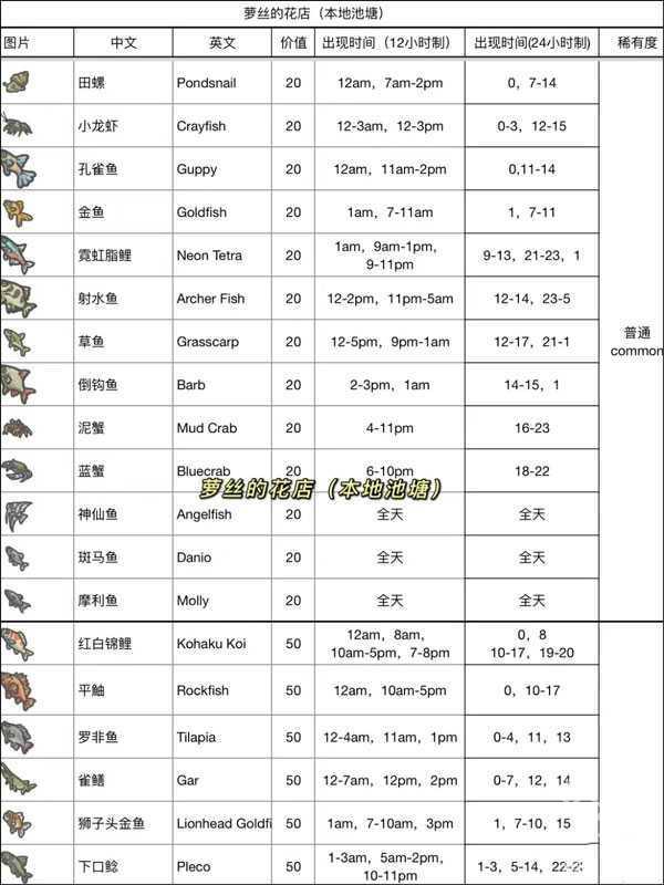 月兔漫游国际服