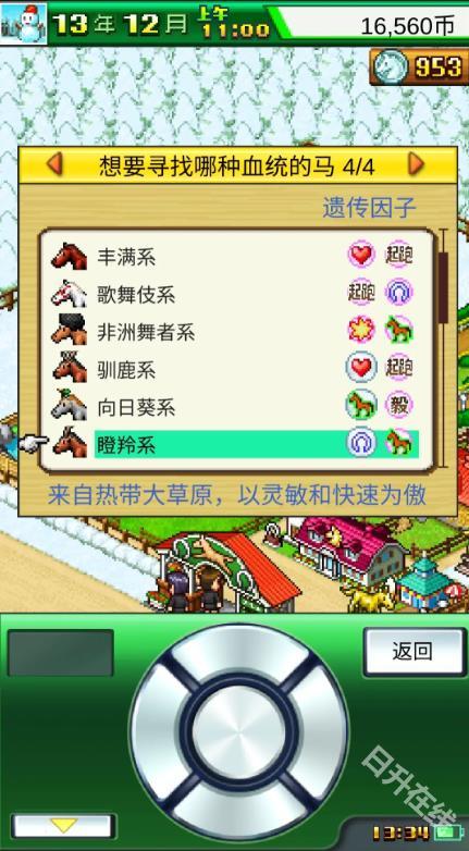 赛马牧场物语