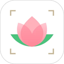 识花大师