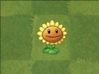 pvz2国际版