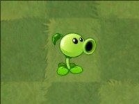 pvz2国际版