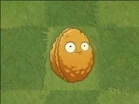 pvz2国际版