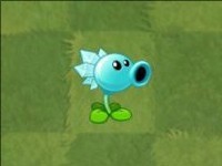 pvz2国际版