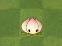 pvz2国际版