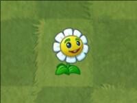 pvz2国际版