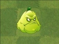 pvz2国际版