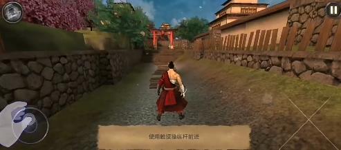 忍者武士隆