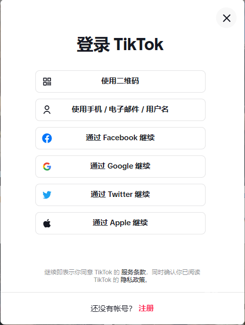 TikTok国际版