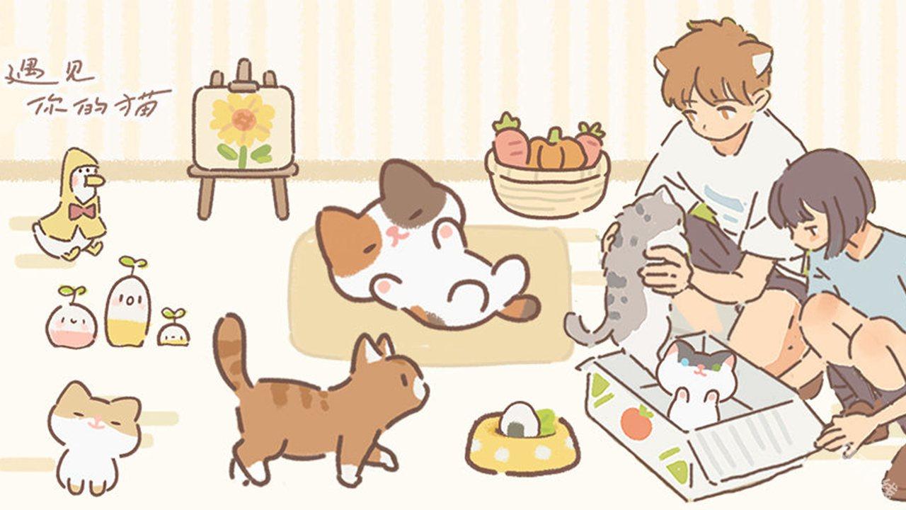遇见你的猫