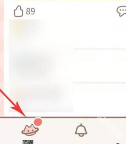 遇见你的猫