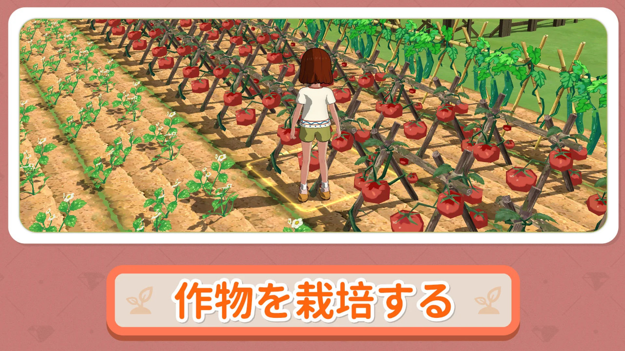 小森生活国际服