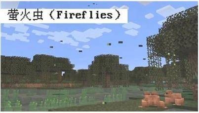 我的世界1.19国际版