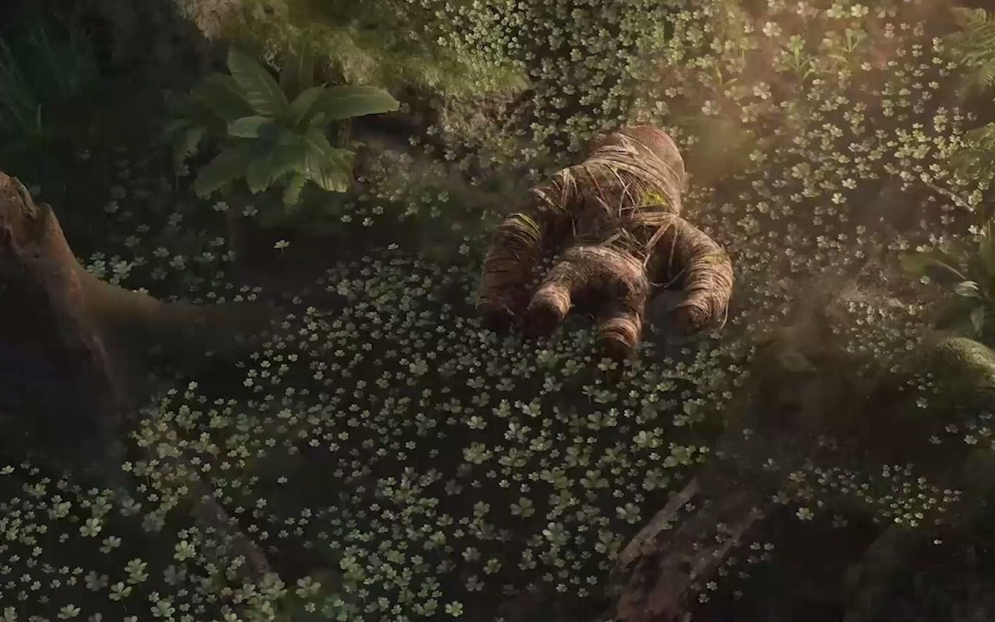 pubg测试服