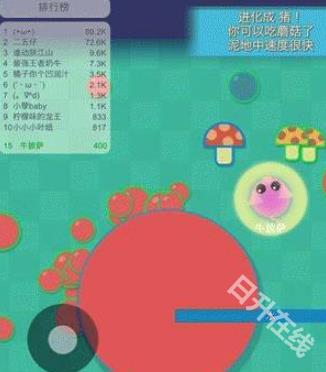 丛林大作战
