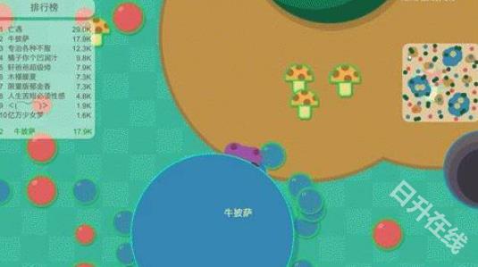 丛林大作战