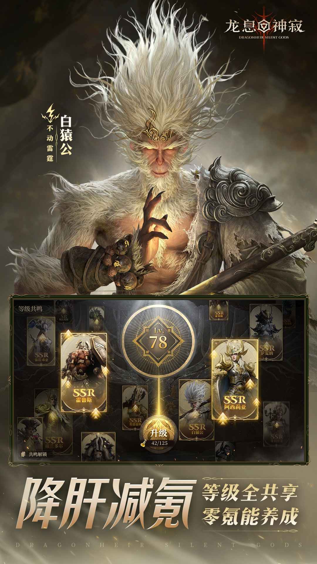 龙息神寂