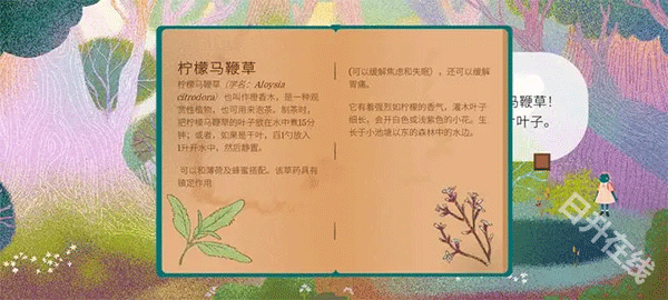 茶杯物语