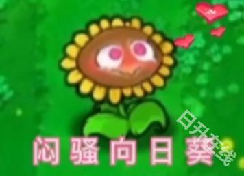 植物大战僵尸逆天版