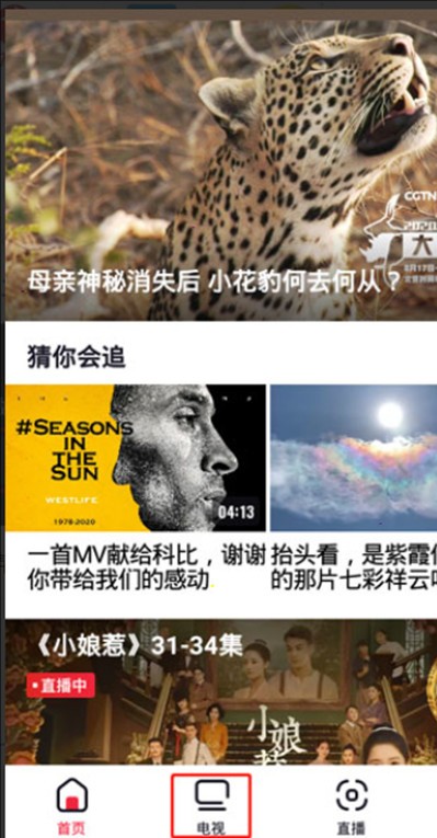 央视频
