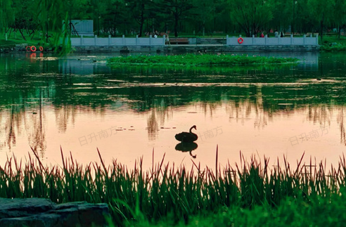 腾讯元宝各风格常用AI修图P图指令汇总