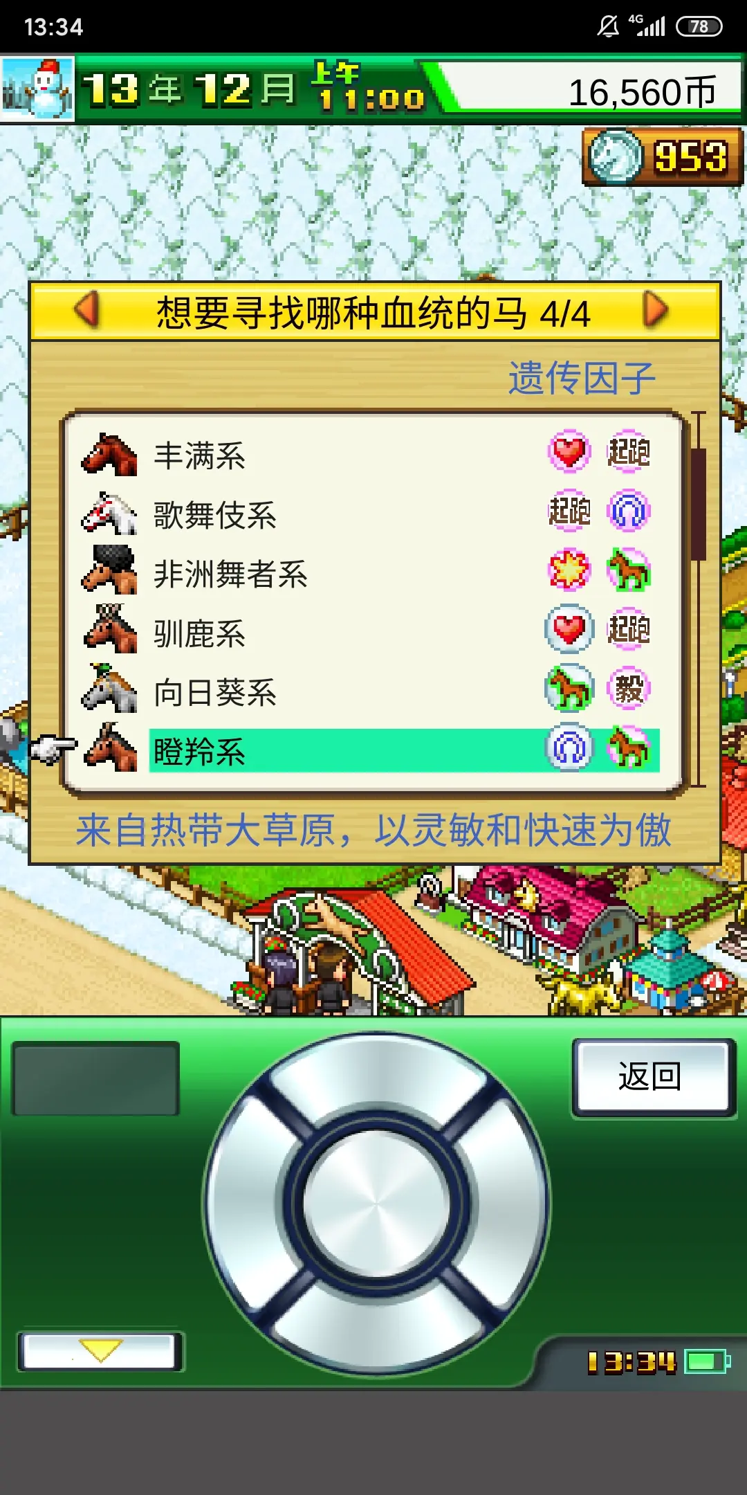 赛马牧场物语中文版