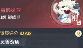 灵兽大冒险灵兽大赛阵容搭配推荐