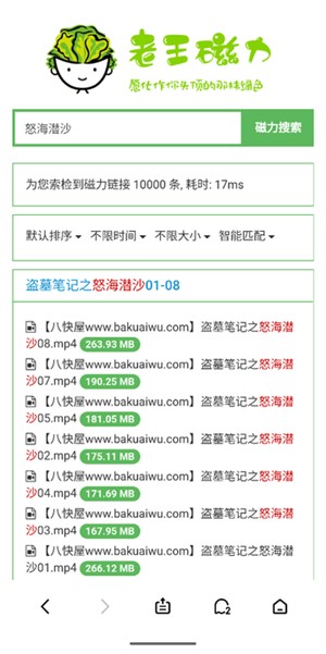 老王磁力