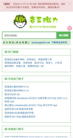 老王磁力
