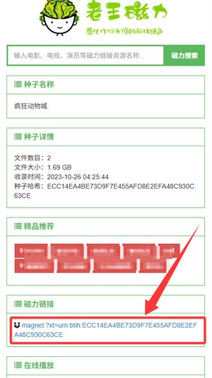 老王磁力