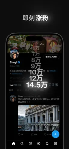 X正版
