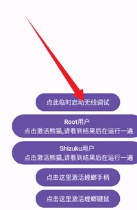 熊猫映射激活器