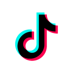 TikTok城人版