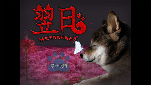 翌日波奇狗的历险记