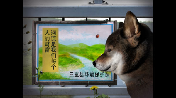翌日波奇狗的历险记