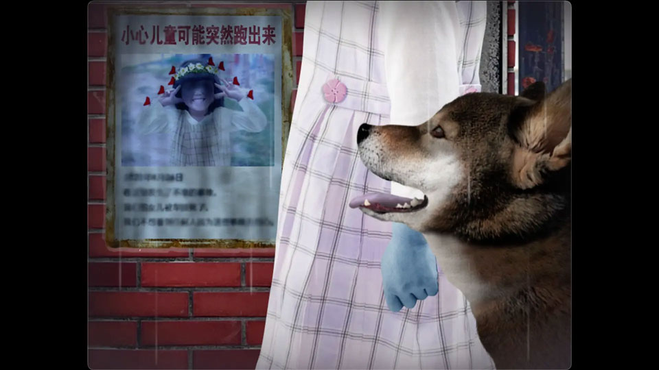 翌日波奇狗的历险记